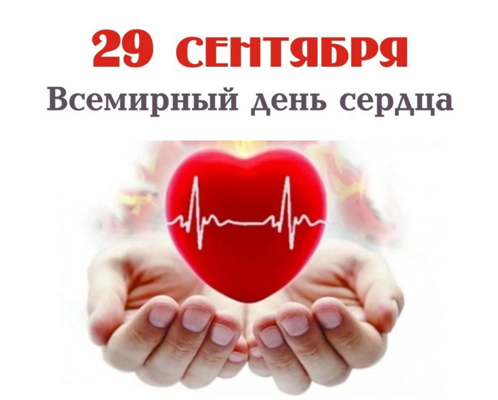 Всемирный день сердца: почему профилактика — главный союзник здоровья